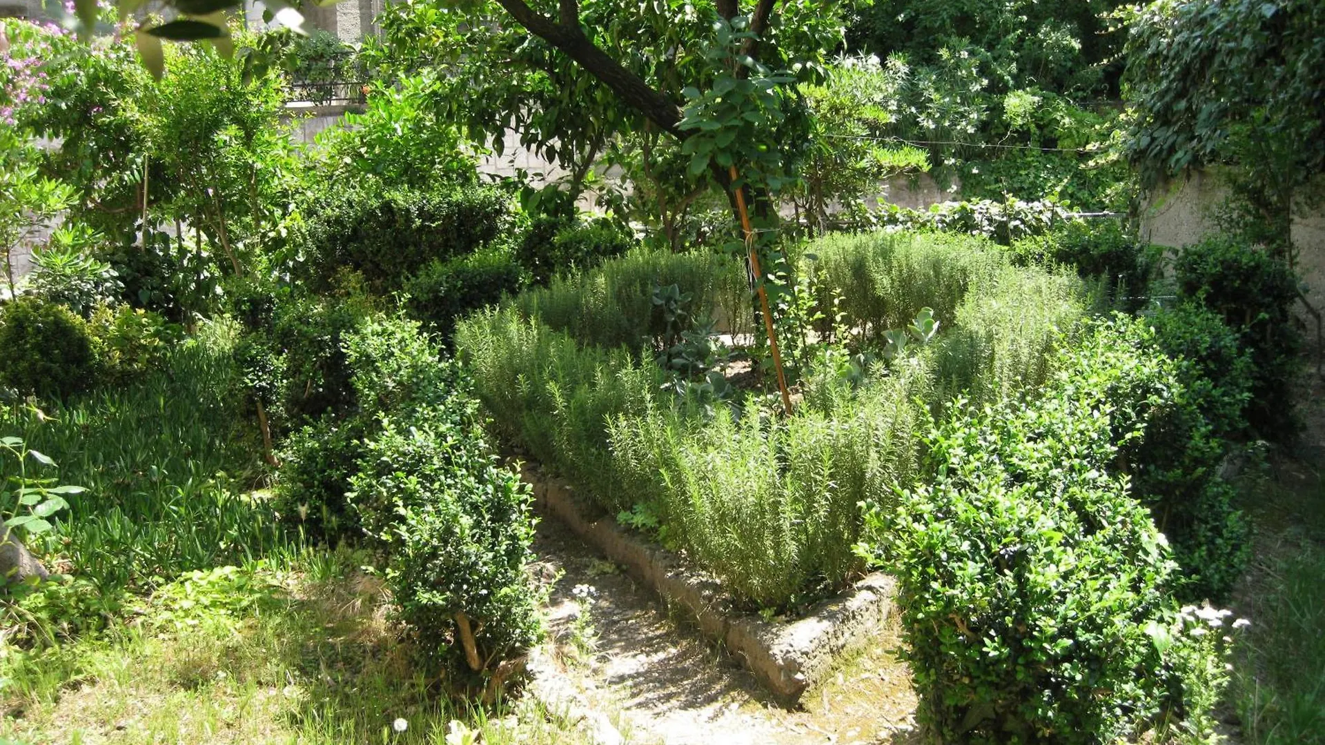 Гостевой дом Guesthouse Vrlic Сплит